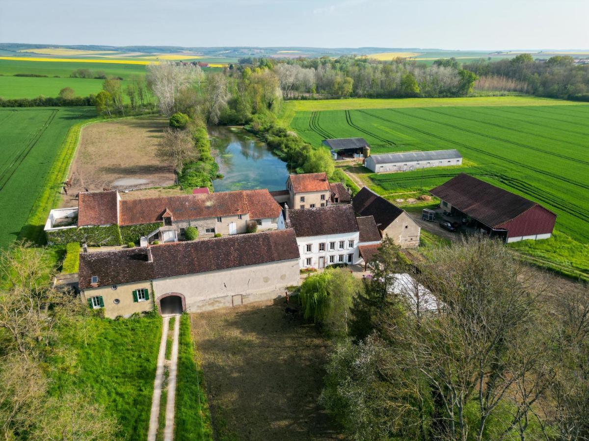 Willa Le Moulin Neuf Brienon-sur-Armançon Zewnętrze zdjęcie