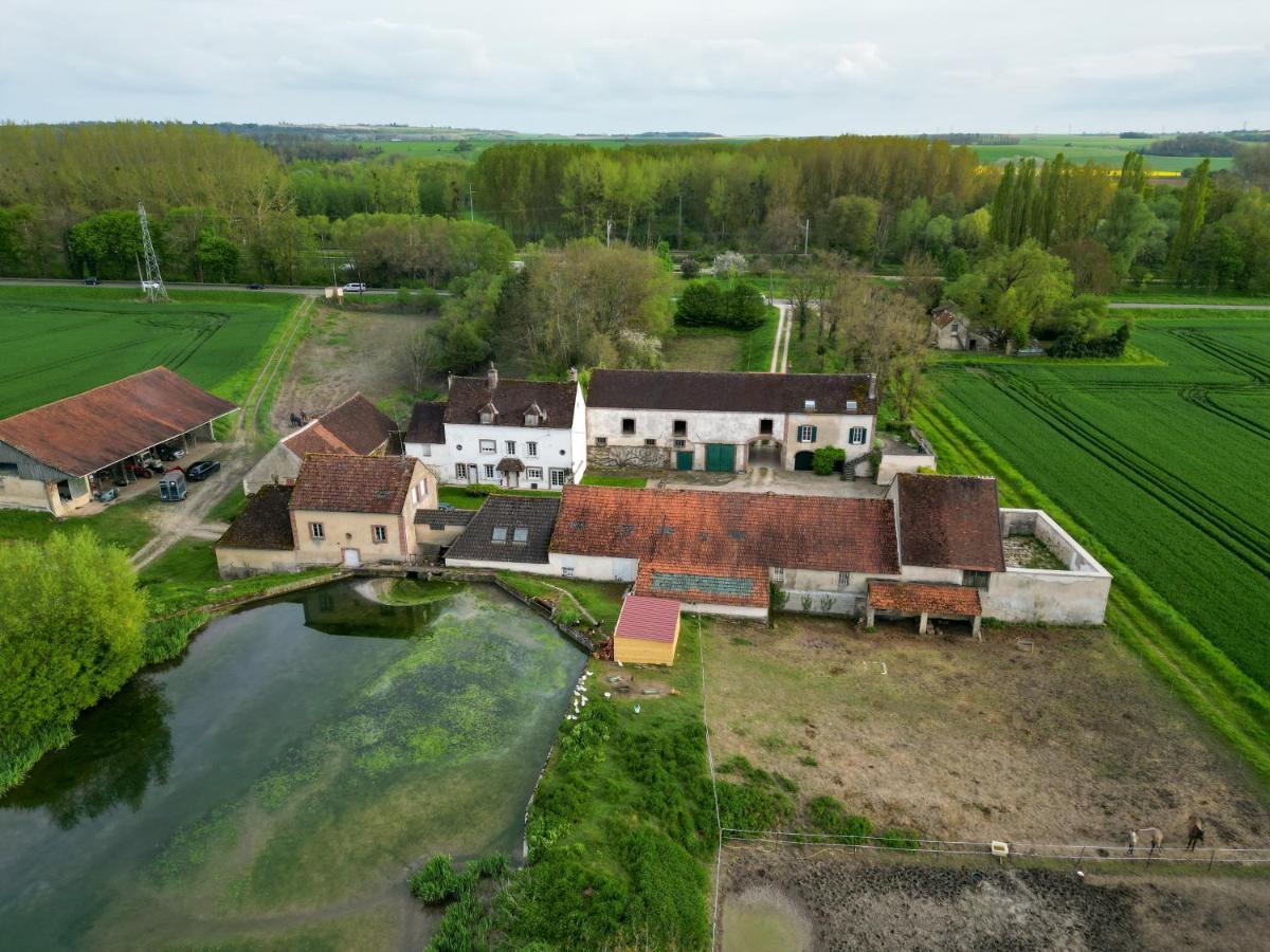 Willa Le Moulin Neuf Brienon-sur-Armançon Zewnętrze zdjęcie