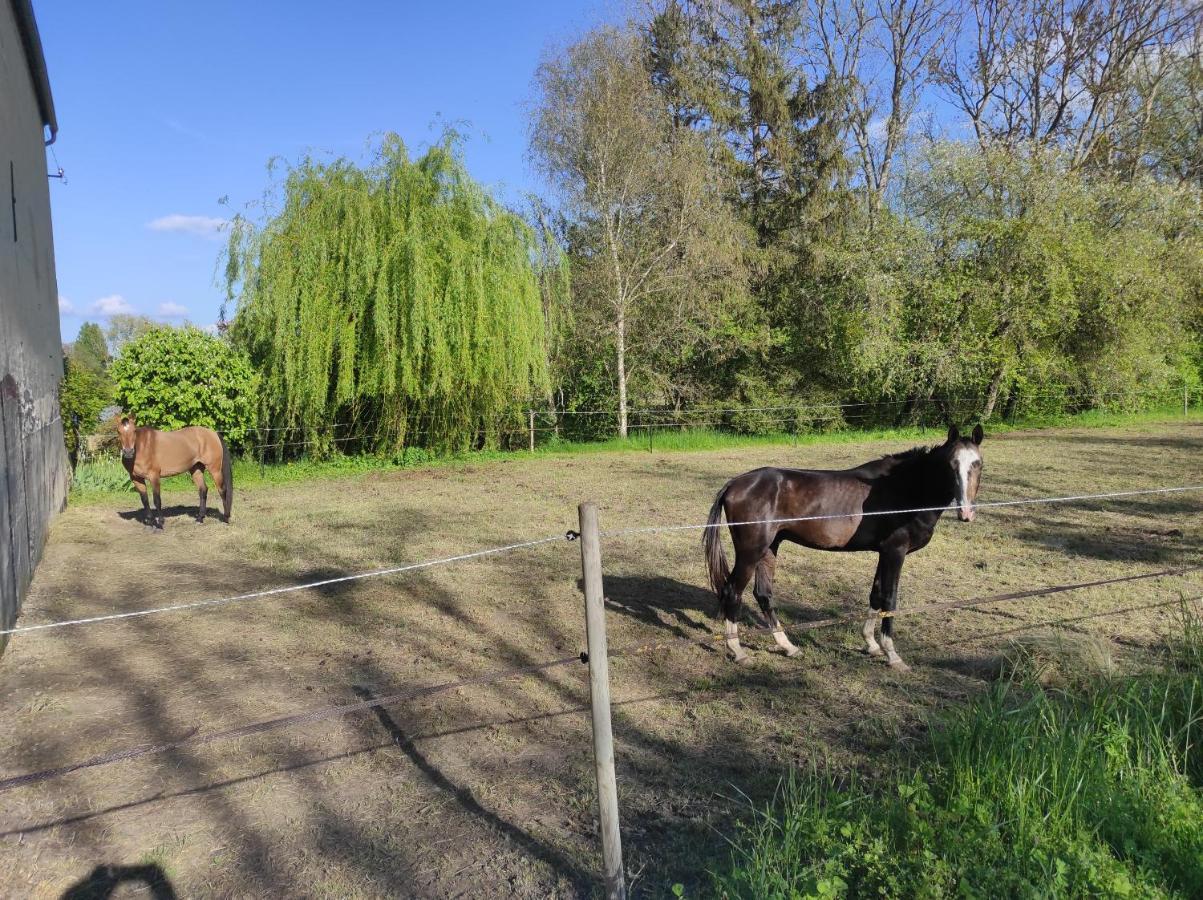 Willa Le Moulin Neuf Brienon-sur-Armançon Zewnętrze zdjęcie