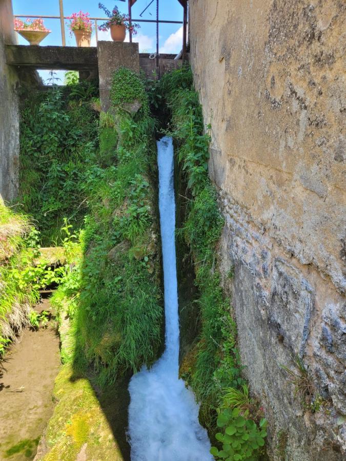 Willa Le Moulin Neuf Brienon-sur-Armançon Zewnętrze zdjęcie