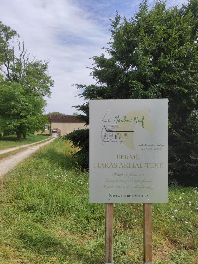 Willa Le Moulin Neuf Brienon-sur-Armançon Zewnętrze zdjęcie